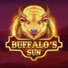 Buffalos Sun