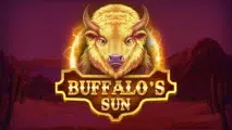 Buffalos Sun