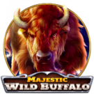 Majestic Wild Buffalo