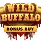 Wild Buffalo