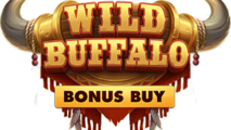 Wild Buffalo